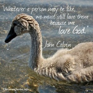 John Calvin - Love God Quote