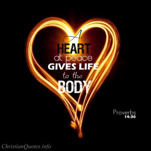 Proverbs 14:30 Bible Verse - A heart at peace gives life to the body, but envy rots the bones.