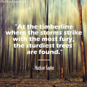 Hudson Taylor Quote - Perseverance