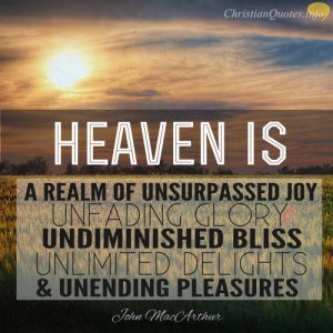 John MacArthur Quote -