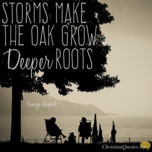 George Herbert Quote - Storms Grow Deeper Roots
