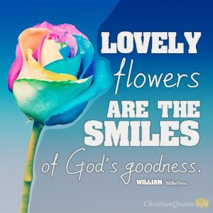 Lovely flowers are the smiles of God's goodness