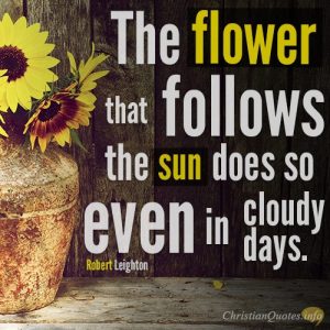 The flower that follows the sun does so even in cloudy days