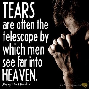 Tears are often the telescope by which men see far into heaven