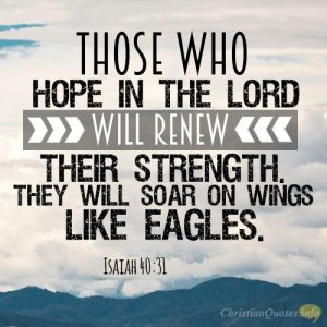 Those who hope in the LORD will renew their strength. They will soar on wings like eagles