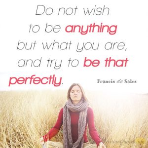 Do not wish to be anything but what you are, and try to be that perfectly.
