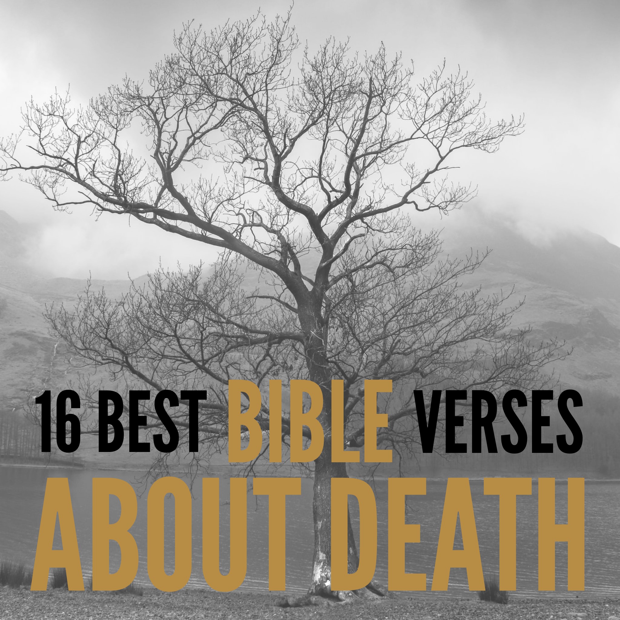 16 Best Bible Verses about Death